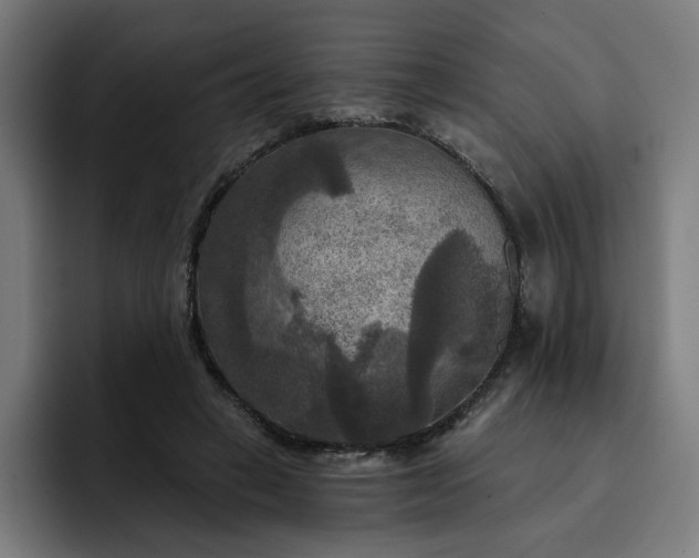 X0000093250449200710101444