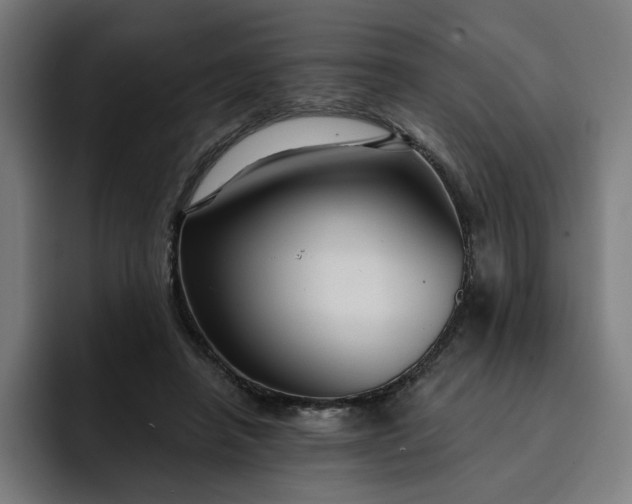 X0000093250450200710101444