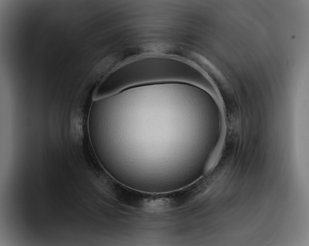 X0000093250452200710101444