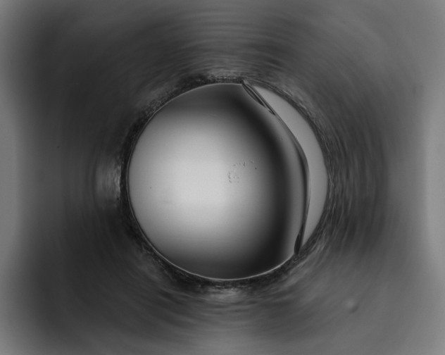 X0000093250454200710101444