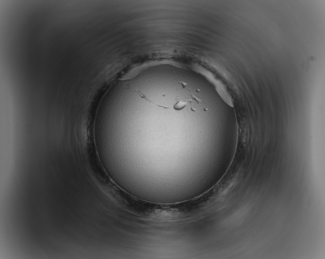 X0000093250455200710101444