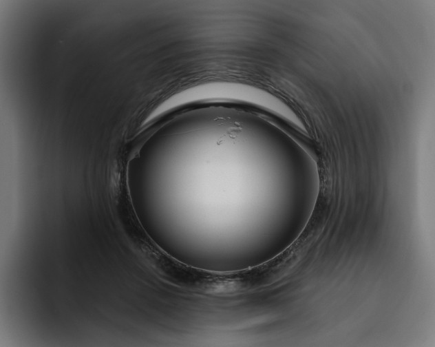 X0000093250456200710101444