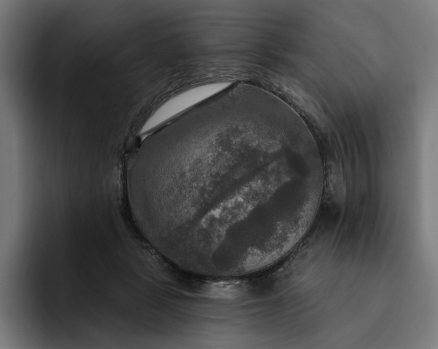 X0000093250461200710101444