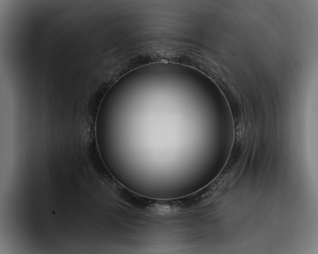 X0000093250464200710101444