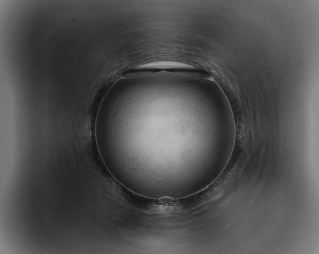 X0000093250466200710101444