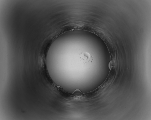 X0000093250468200710101444