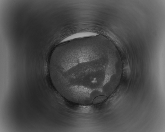 X0000093250469200710101444