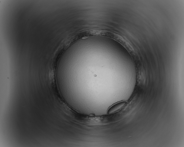 X0000093250473200710101444