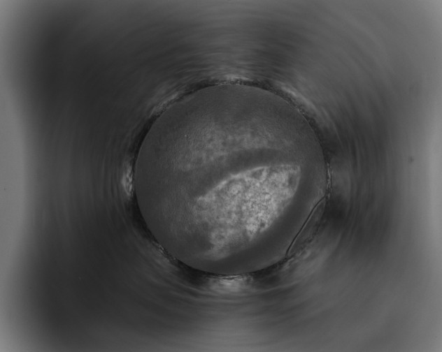 X0000093250479200710101444