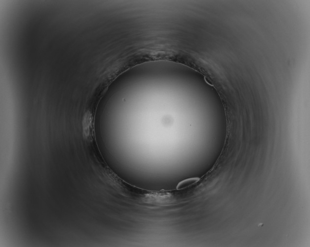 X0000093250480200710101444