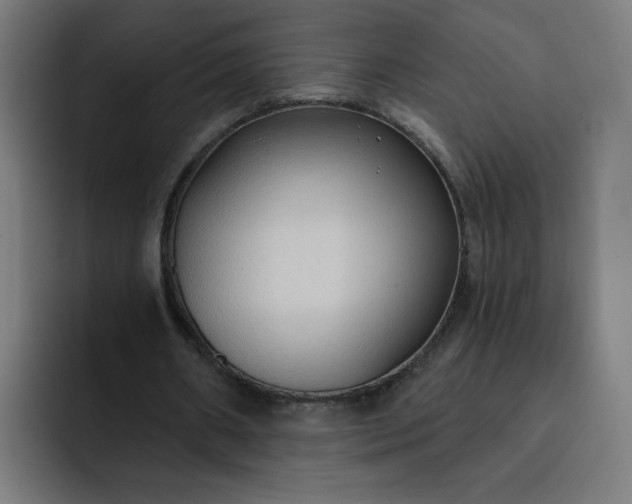 X0000093250482200710101443