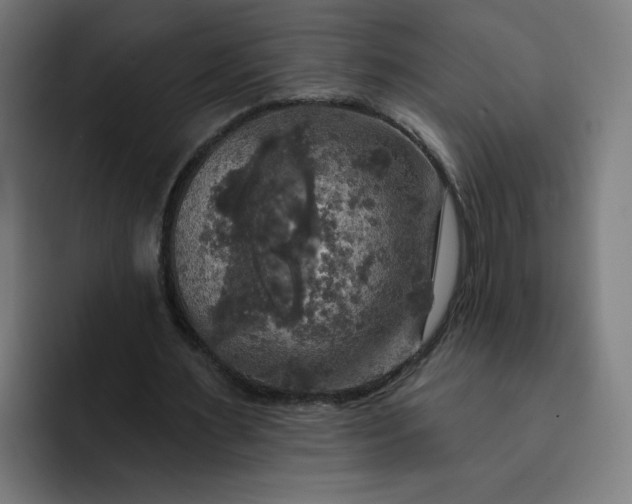 X0000093250483200710101443