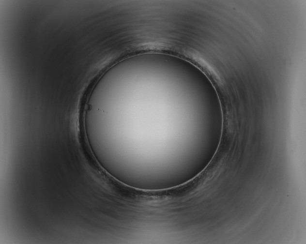 X0000093250486200710101443