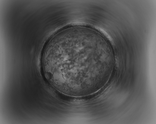 X0000093250487200710101443