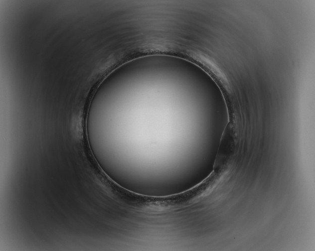 X0000093250489200710101443