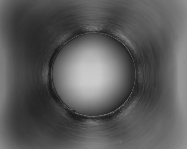 X0000093250490200710101443