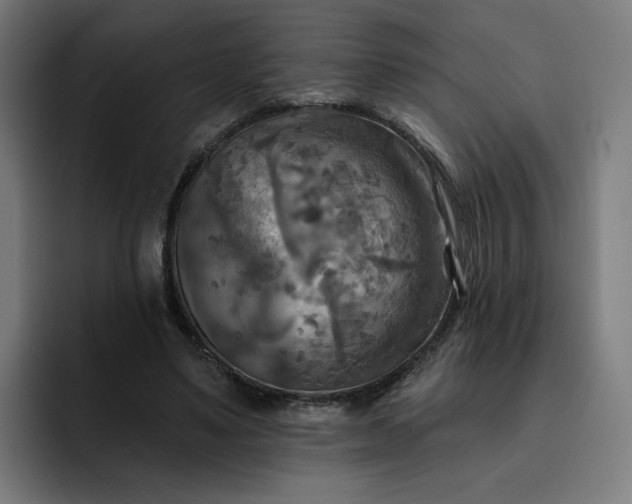 X0000093250491200710101443