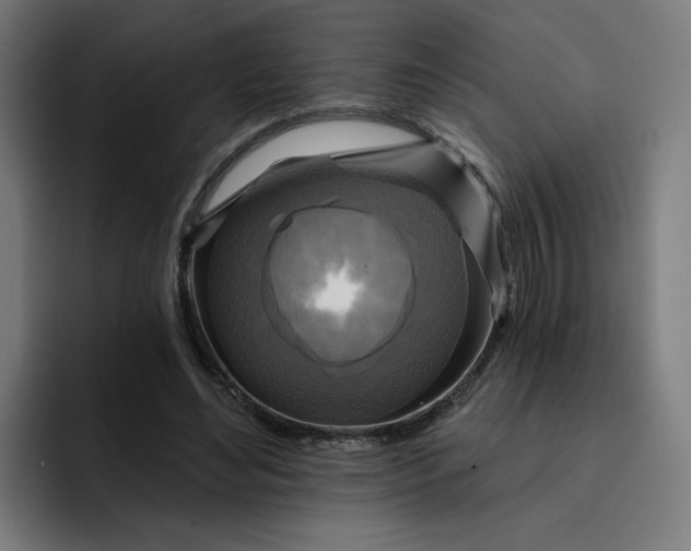 X0000093250492200710101443