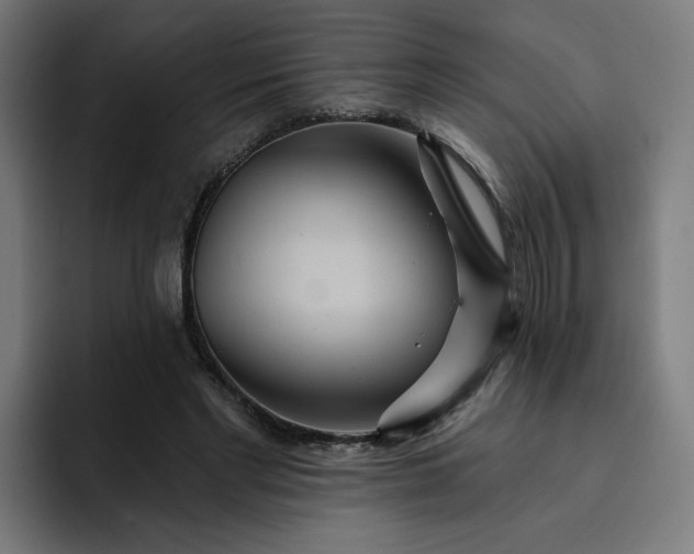 X0000093250493200710101443