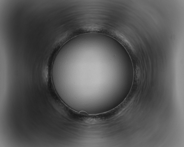 X0000093250494200710101443