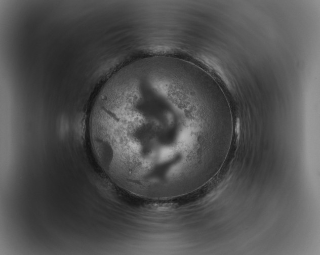 X0000093250495200710101443