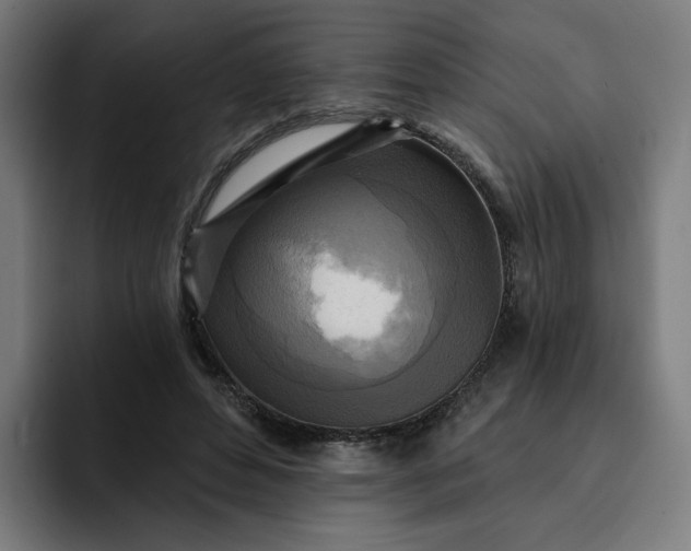 X0000093250496200710101443