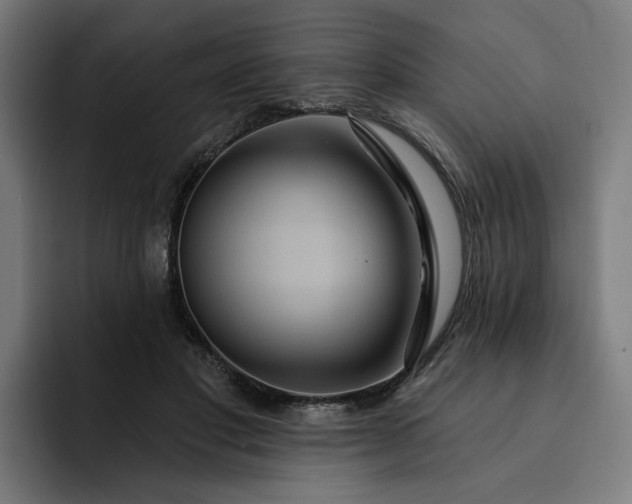 X0000093250501200710101443