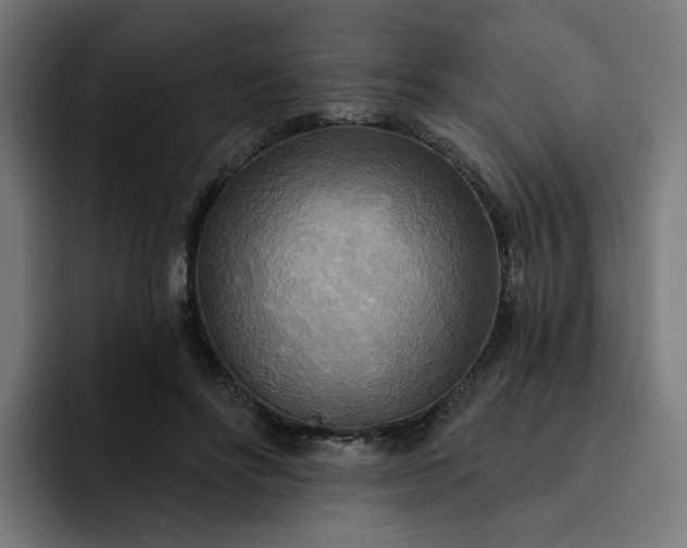 X0000093250502200710101443