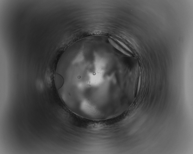 X0000093250503200710101443