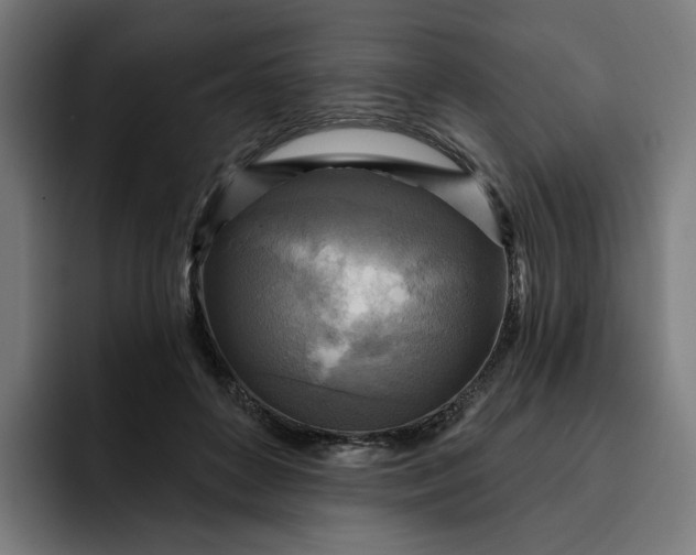 X0000093250504200710101443