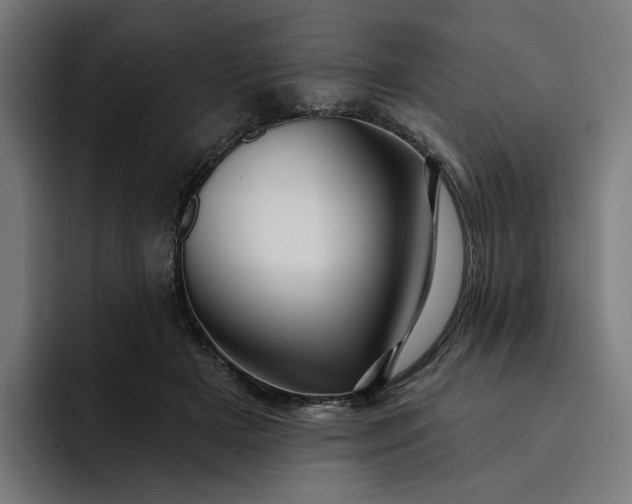 X0000093250505200710101443