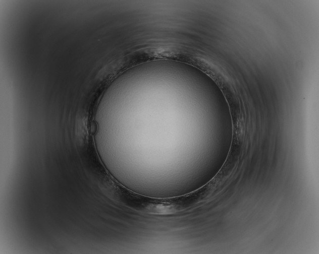 X0000093250506200710101443