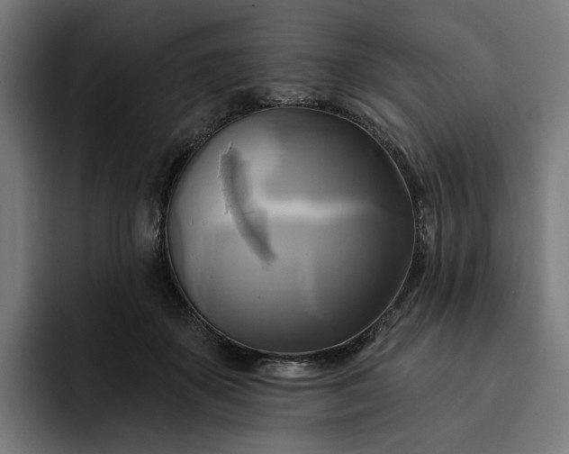 X0000093250507200710101443