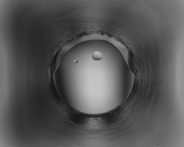 X0000093250508200710101443