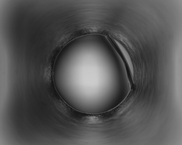 X0000093250509200710101443