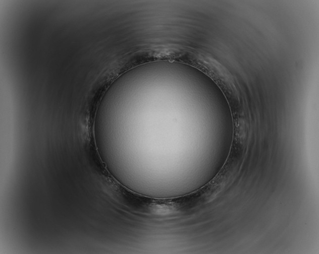 X0000093250510200710101443