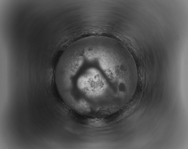 X0000093250511200710101443