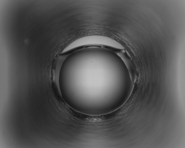 X0000093250512200710101443