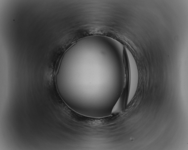 X0000093250513200710101443