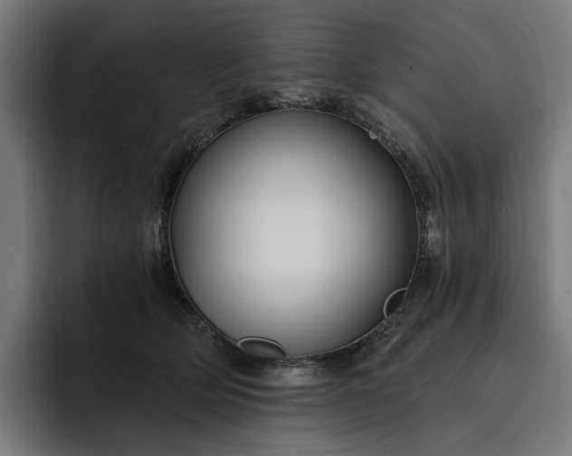 X0000093250514200710101443