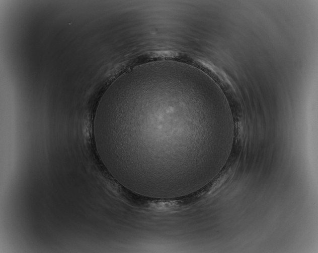 X0000093250517200710101443