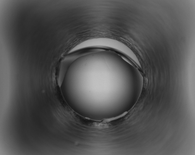 X0000093250520200710101443