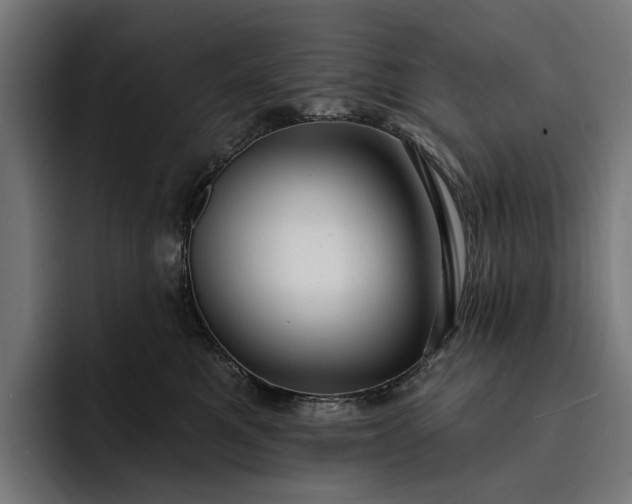 X0000093250521200710101443