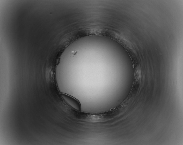 X0000093250522200710101443