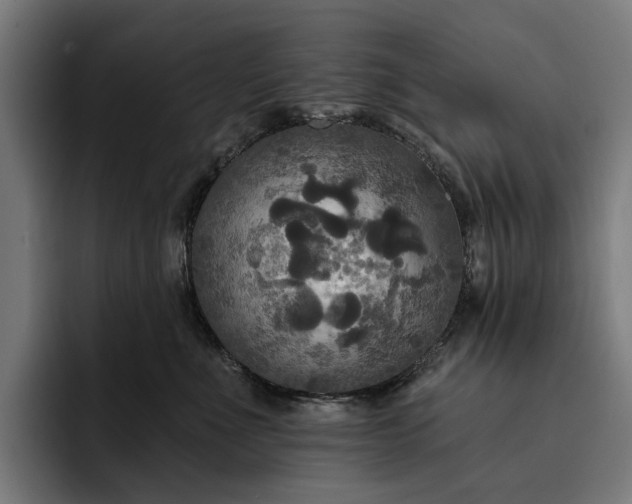 X0000093250523200710101443