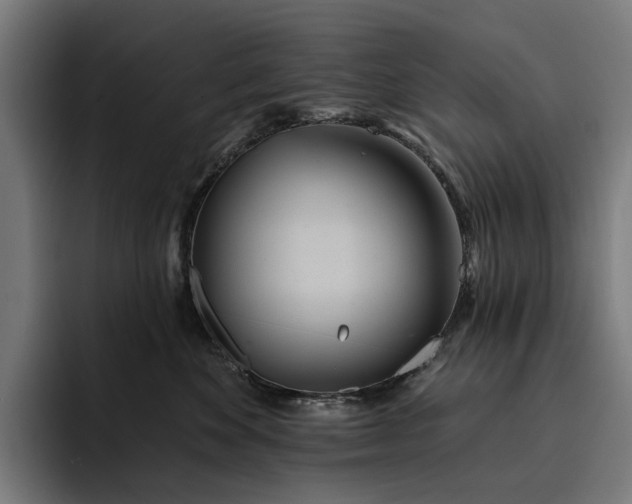 X0000093250524200710101443