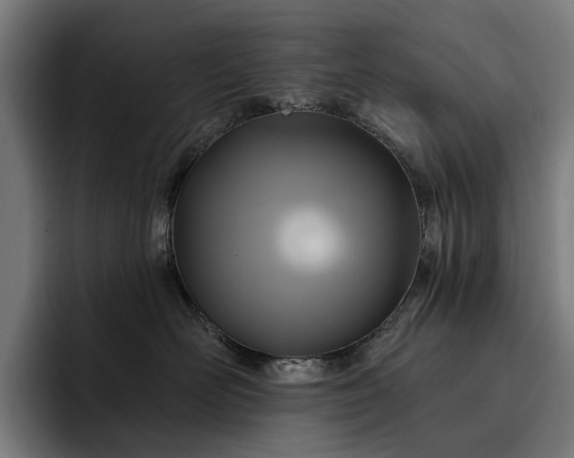 X0000093250526200710101443