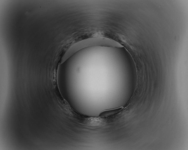 X0000093250528200710101443