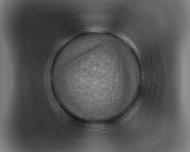 X0000093250529200710101442