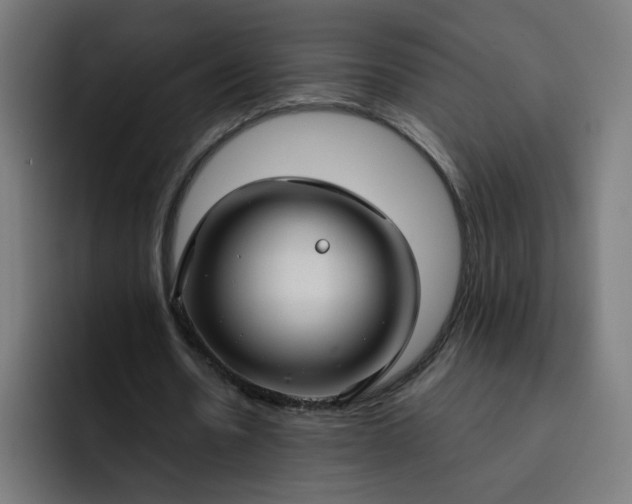 X0000093250530200710101442